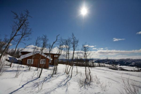 Large Cabin Retreat Perfect for Family Gatherings